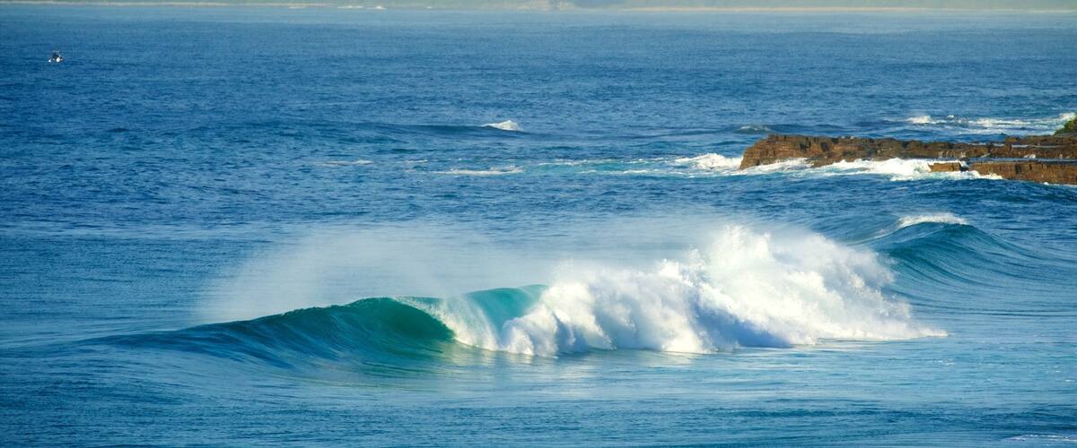 新堡 呈现出 海灘