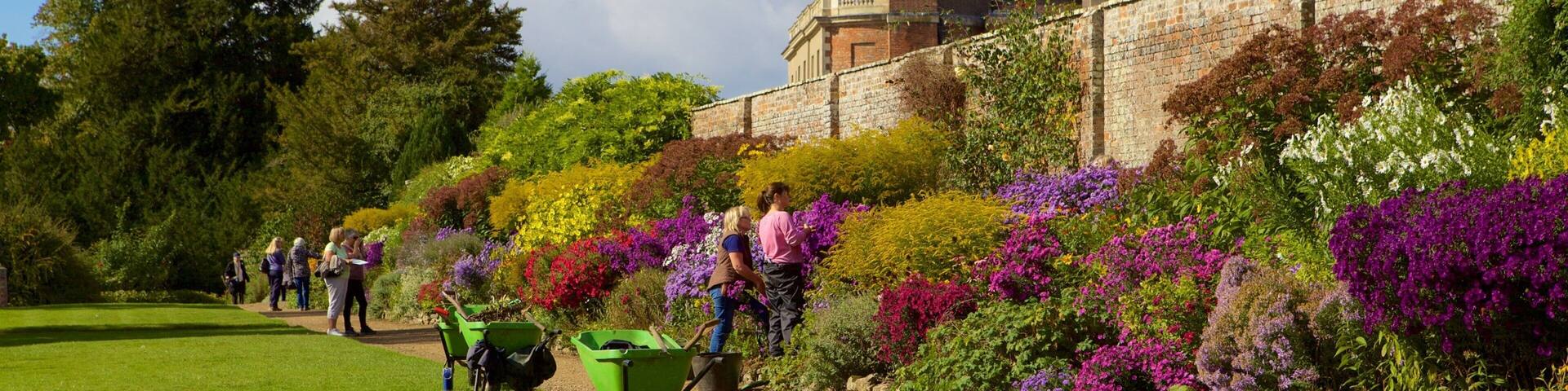 Oxford featuring a garden as well as a small group of people