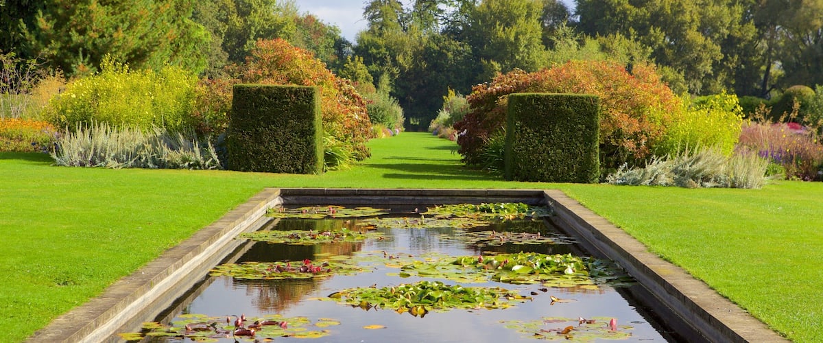 Oxford showing a garden and a pond