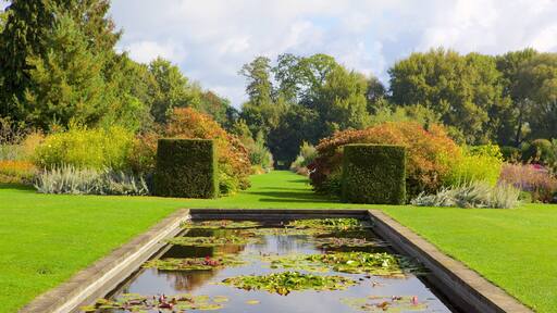 Oxford som inkluderer dam og park