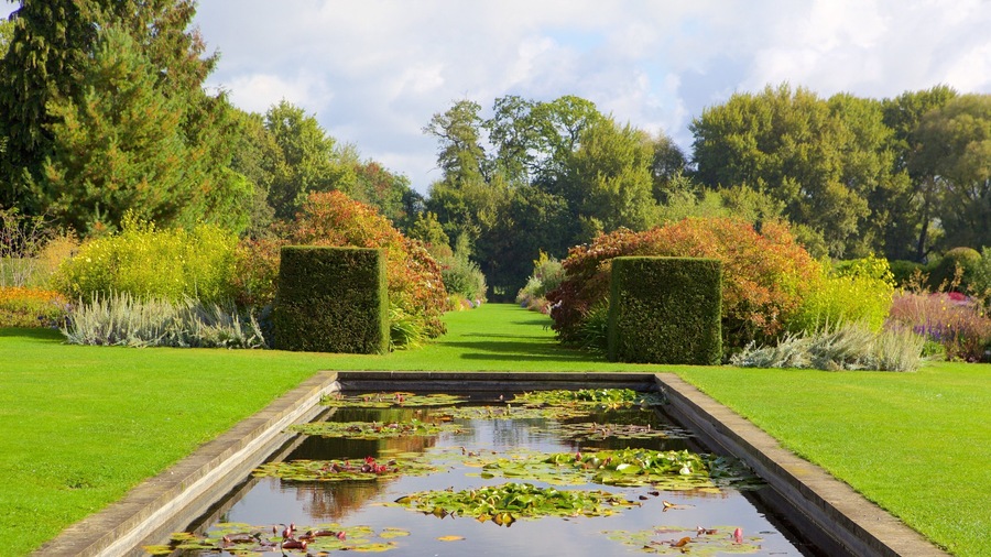 Oxford showing a garden and a pond