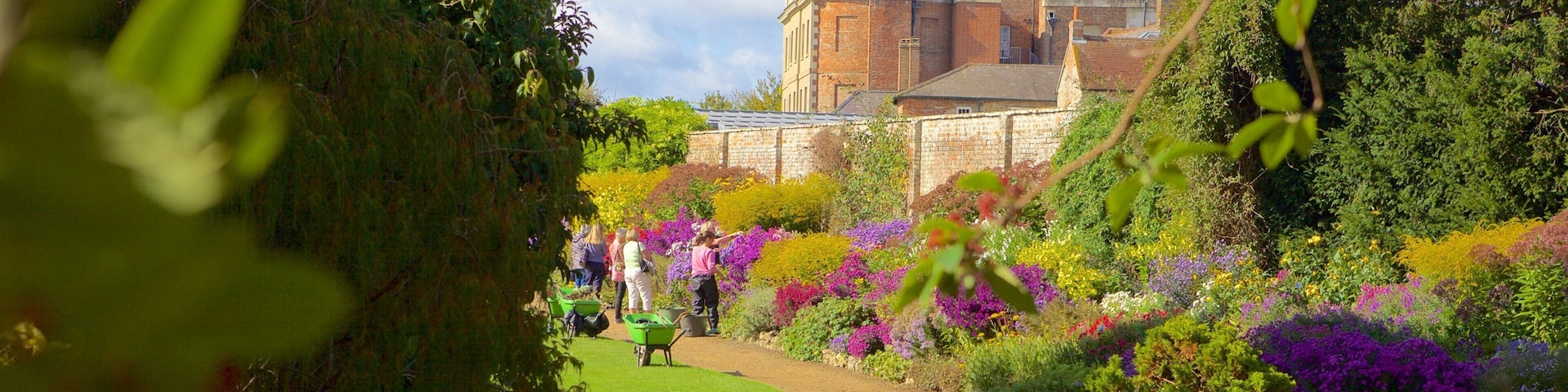 Oxfordshire mostrando flores y un parque