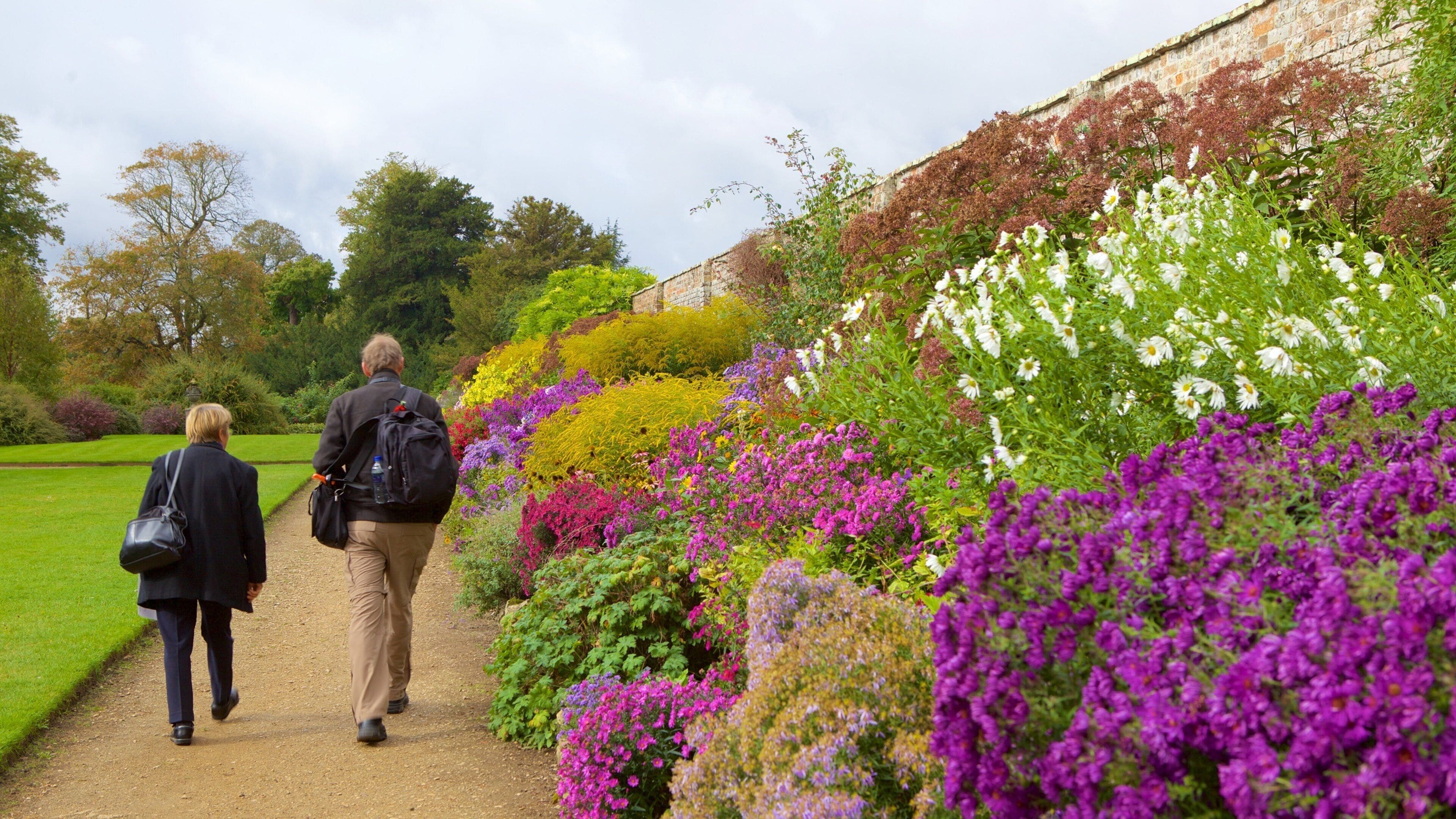 A garden path with people walking, surrounded by colorful flowers and a stone wall.