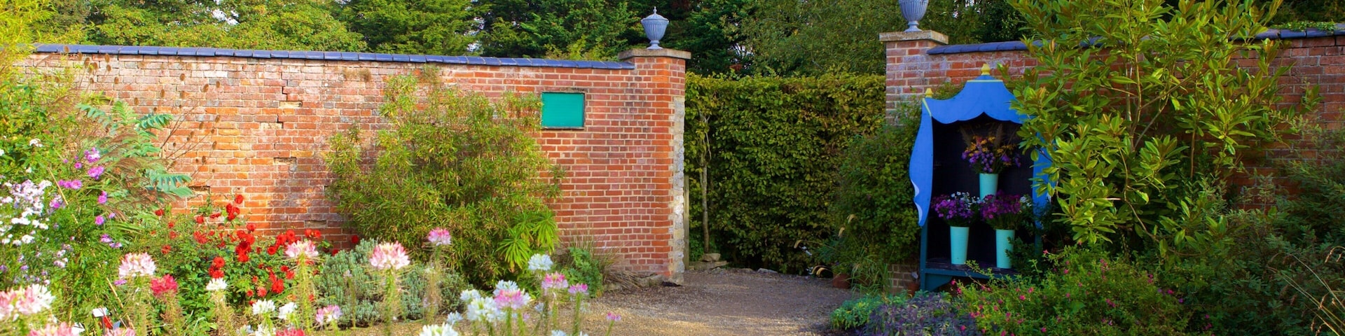 Oxford welches beinhaltet Park