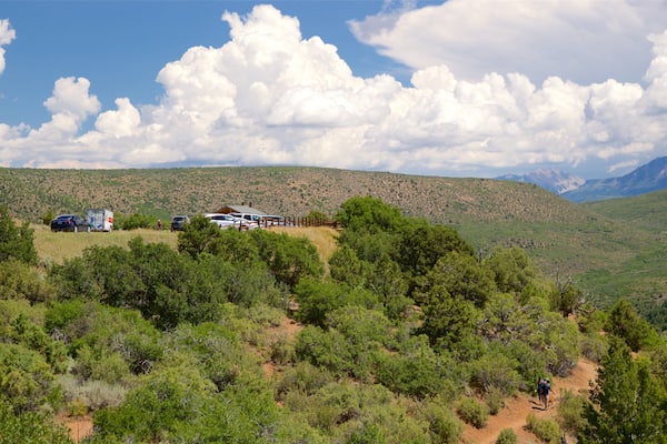Tomichi Point showing landscape views and tranquil scenes
