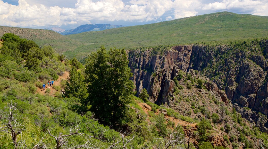 Montrose showing a gorge or canyon, landscape views and tranquil scenes