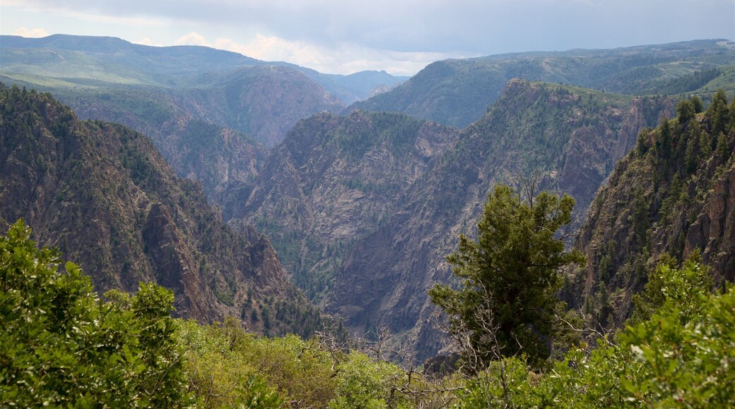 Montrose featuring landscape views and a gorge or canyon