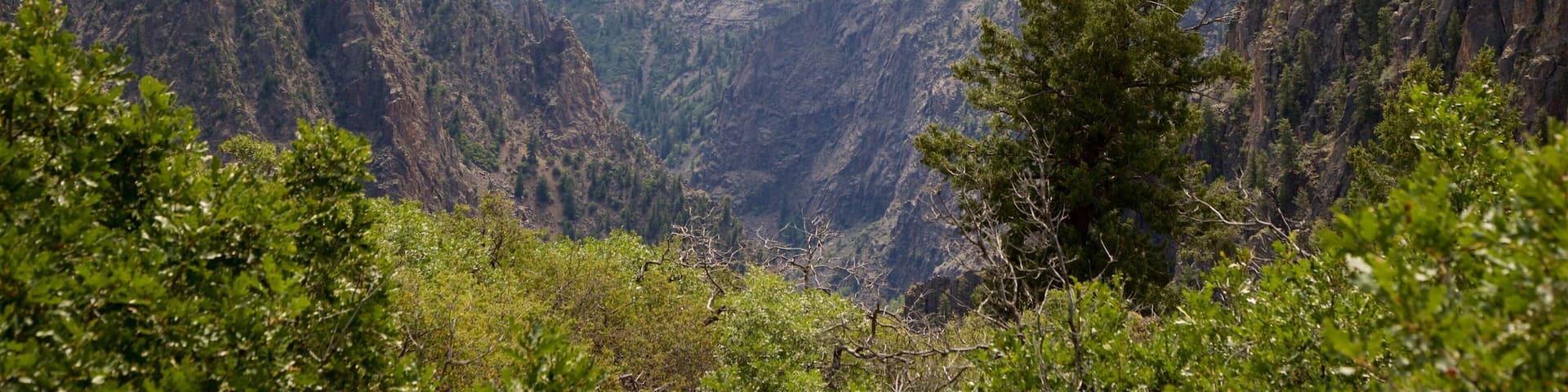 Montrose which includes a gorge or canyon and landscape views