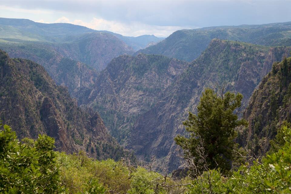 A canyon with steep cliffs and dense greenery.