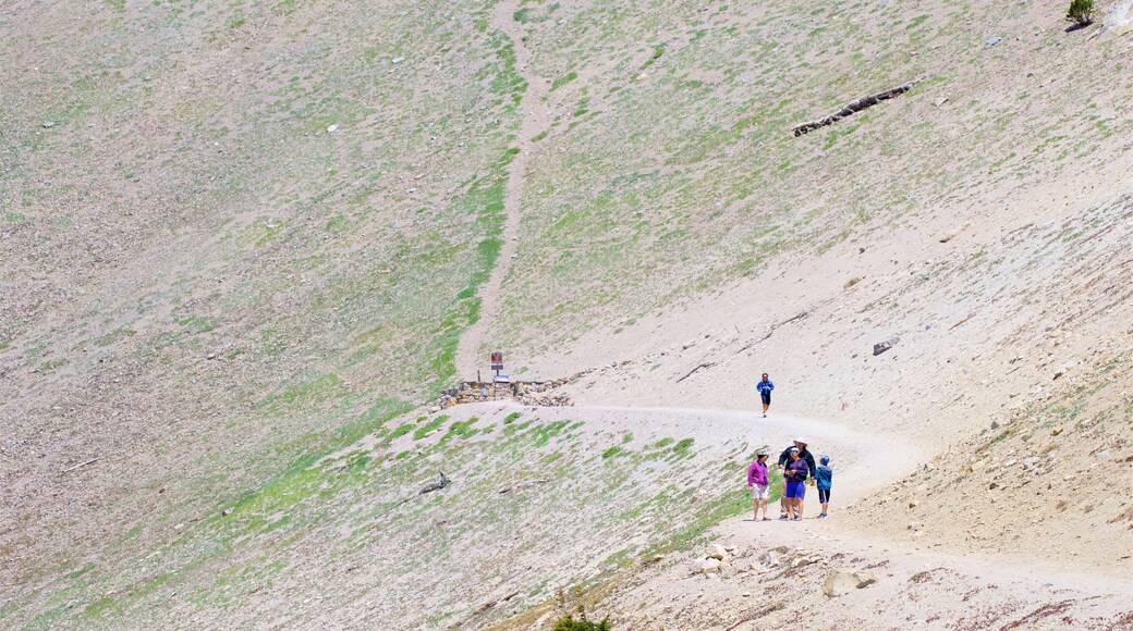 밀 크릭 을 보여주는 하이킹 또는 걷기 과 한적한 풍경 뿐만 아니라 소규모 사람들