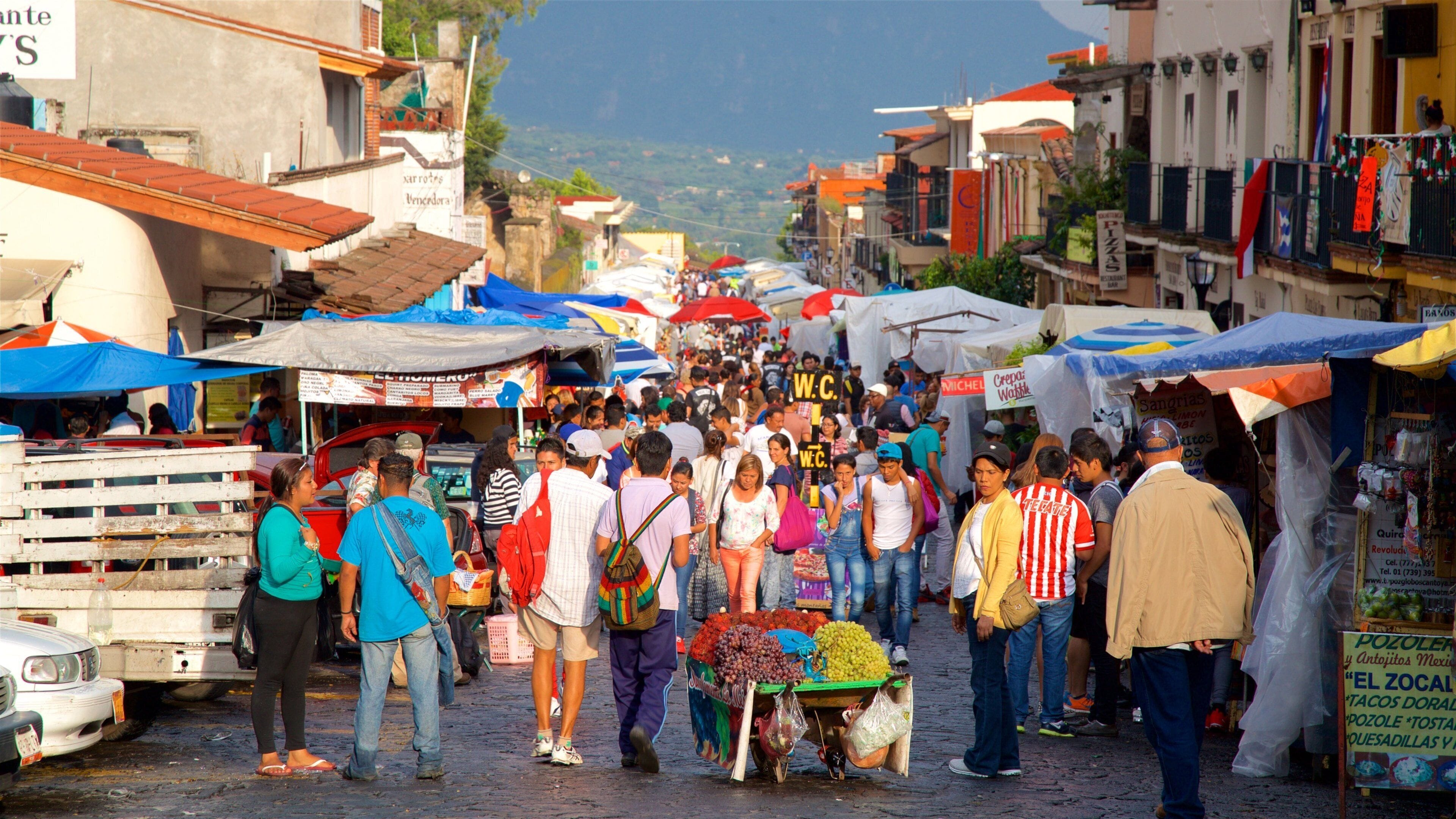 Artisan Market of Tepoztlán featuring markets and street scenes as well as a large group of people