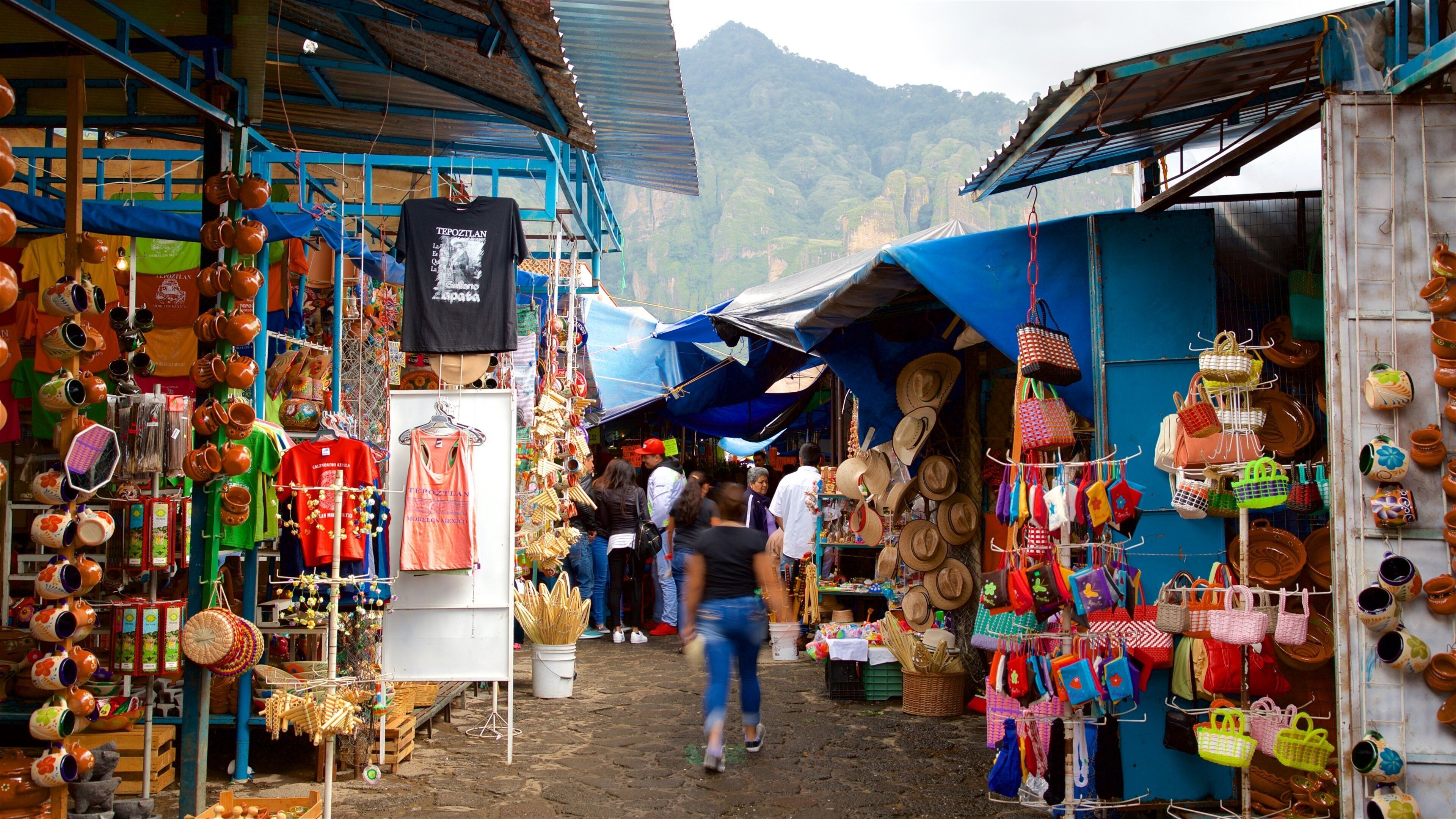 Artisan Market of Tepoztlan showing street scenes and markets
