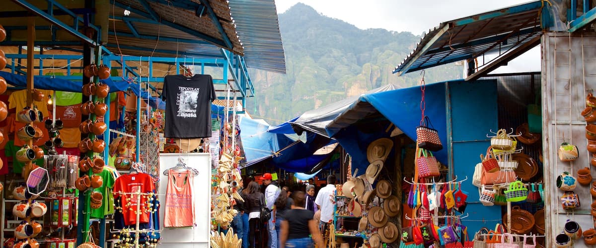 Artisan Market of Tepoztlan showing street scenes and markets