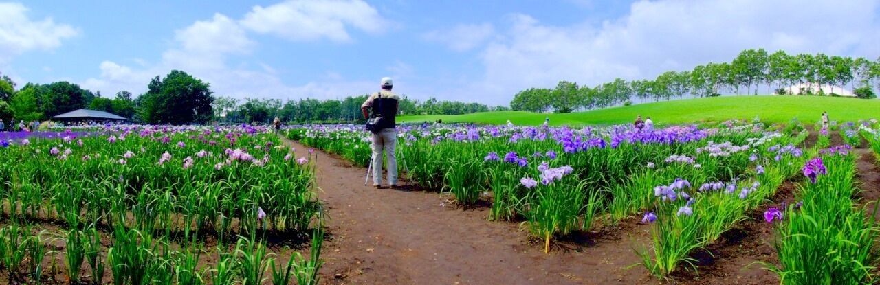ハ絋学園 花菖蒲園 2009