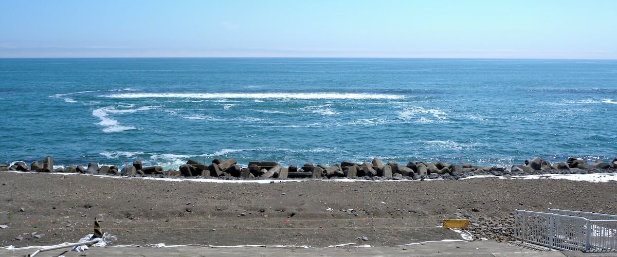 DSCN8083