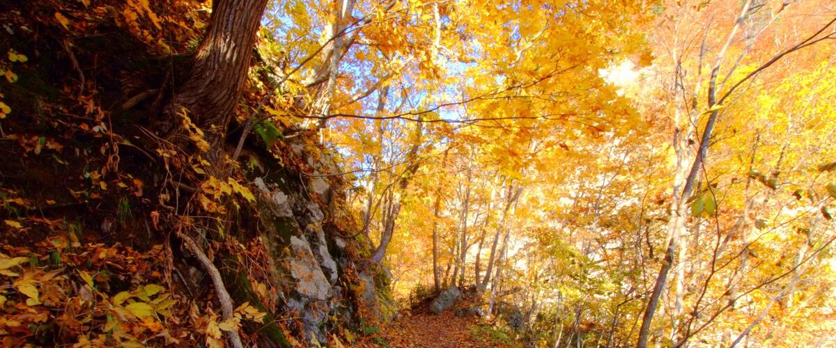 定山渓散策路(Jozankei walkway)