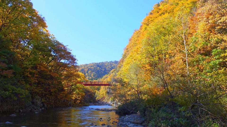 定山渓散策路(Jozankei walkway)