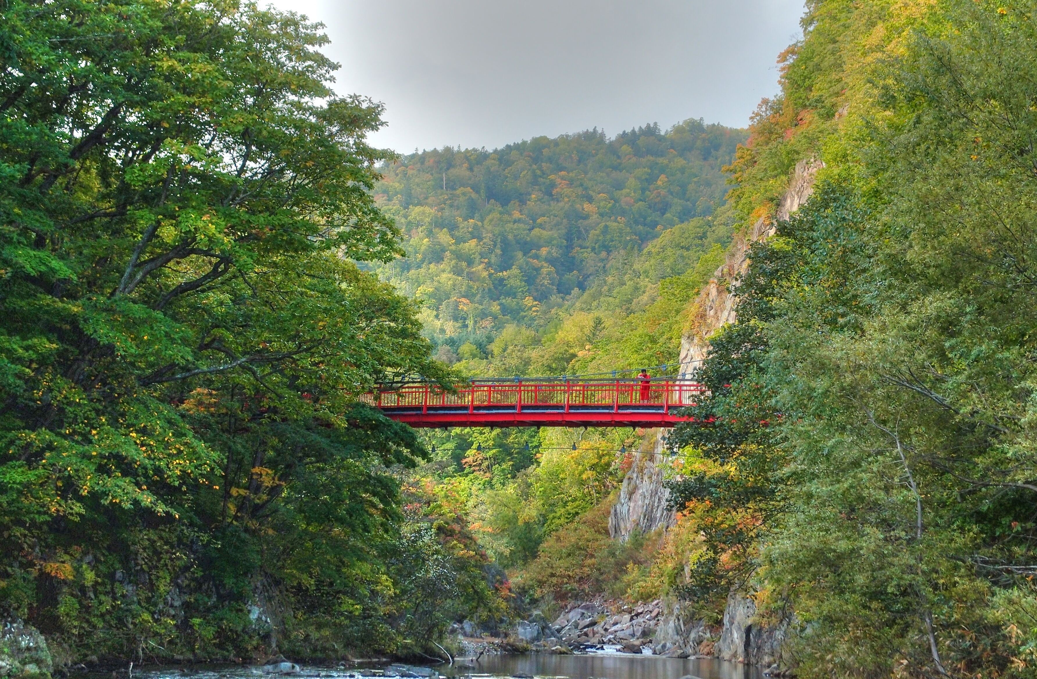 定山渓二見吊橋 (Jozankei Futami suspension bridge) 今年は紅葉が遅れています。10月20日頃が見頃と思われます。