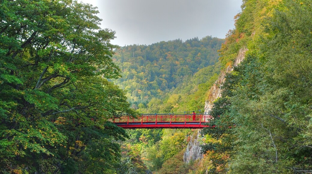 定山渓二見吊橋 (Jozankei Futami suspension bridge) 今年は紅葉が遅れています。10月20日頃が見頃と思われます。