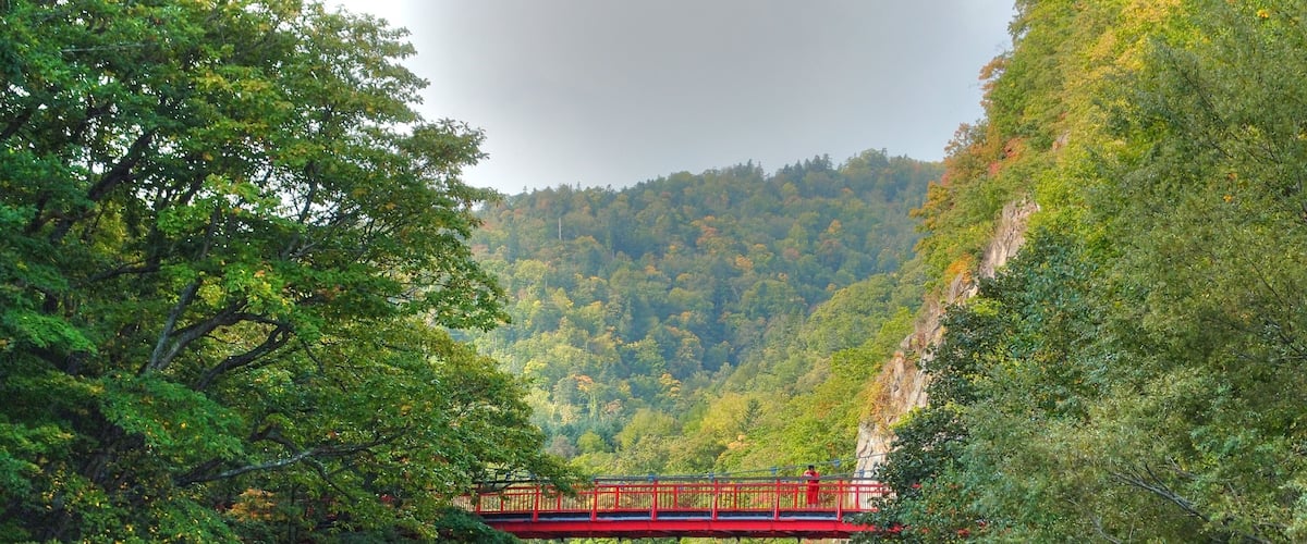 定山渓二見吊橋 (Jozankei Futami suspension bridge) 今年は紅葉が遅れています。10月20日頃が見頃と思われます。