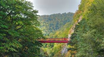 定山渓二見吊橋
