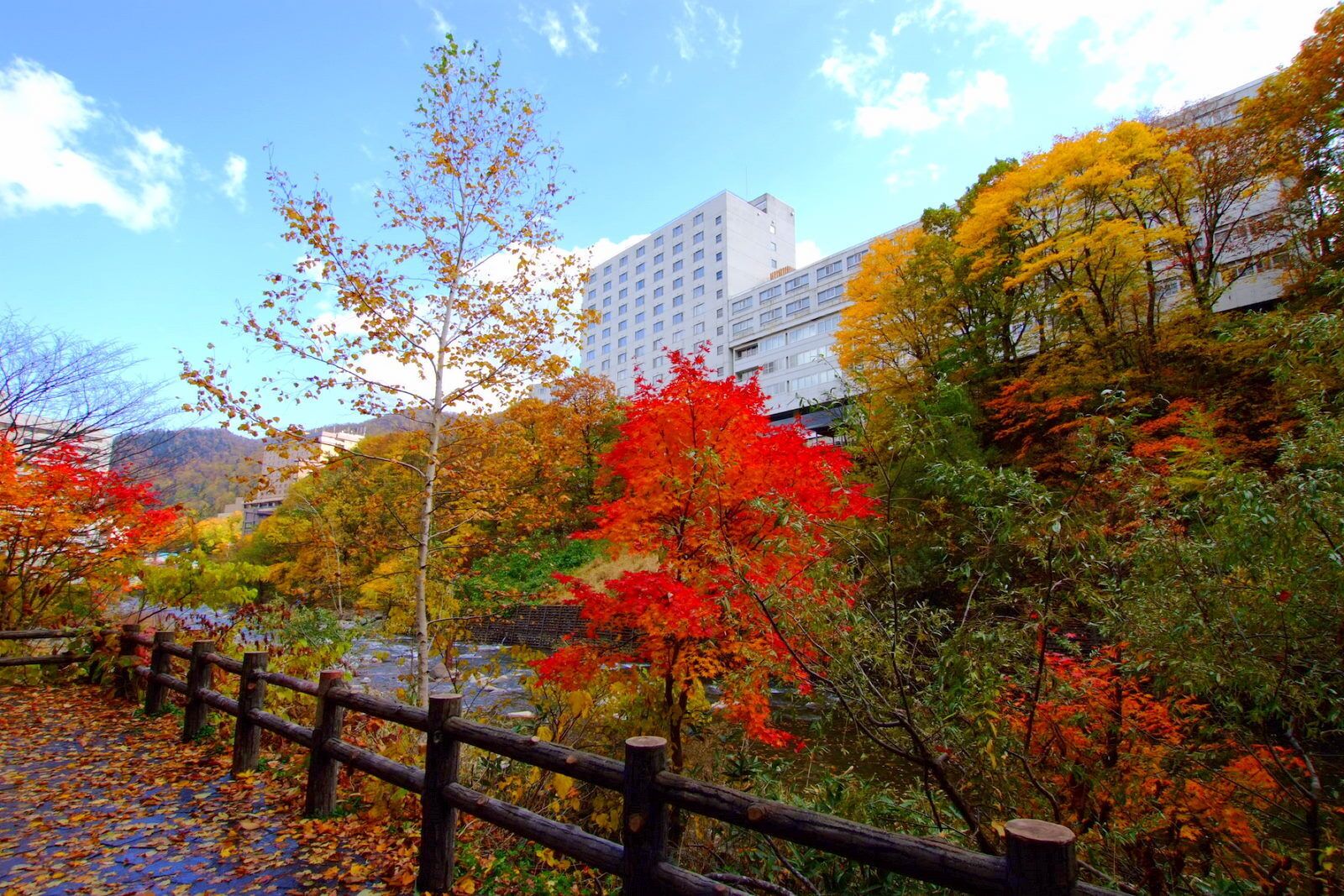 A wooden fence, autumn foliage, and a building in the background.