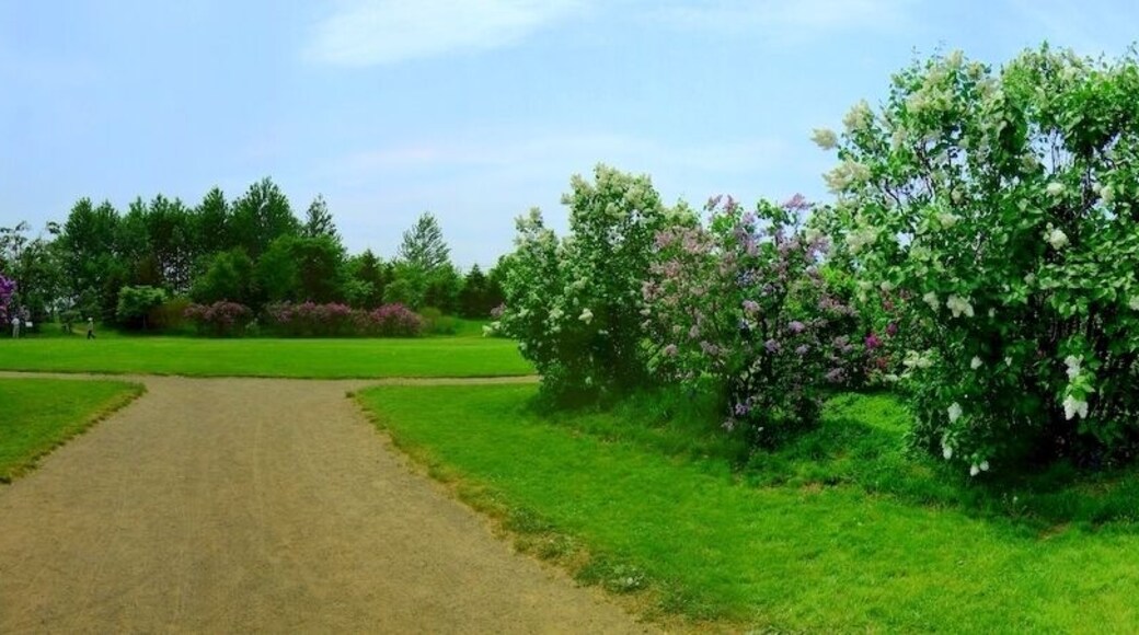 川下公園(Kawashimo Park)