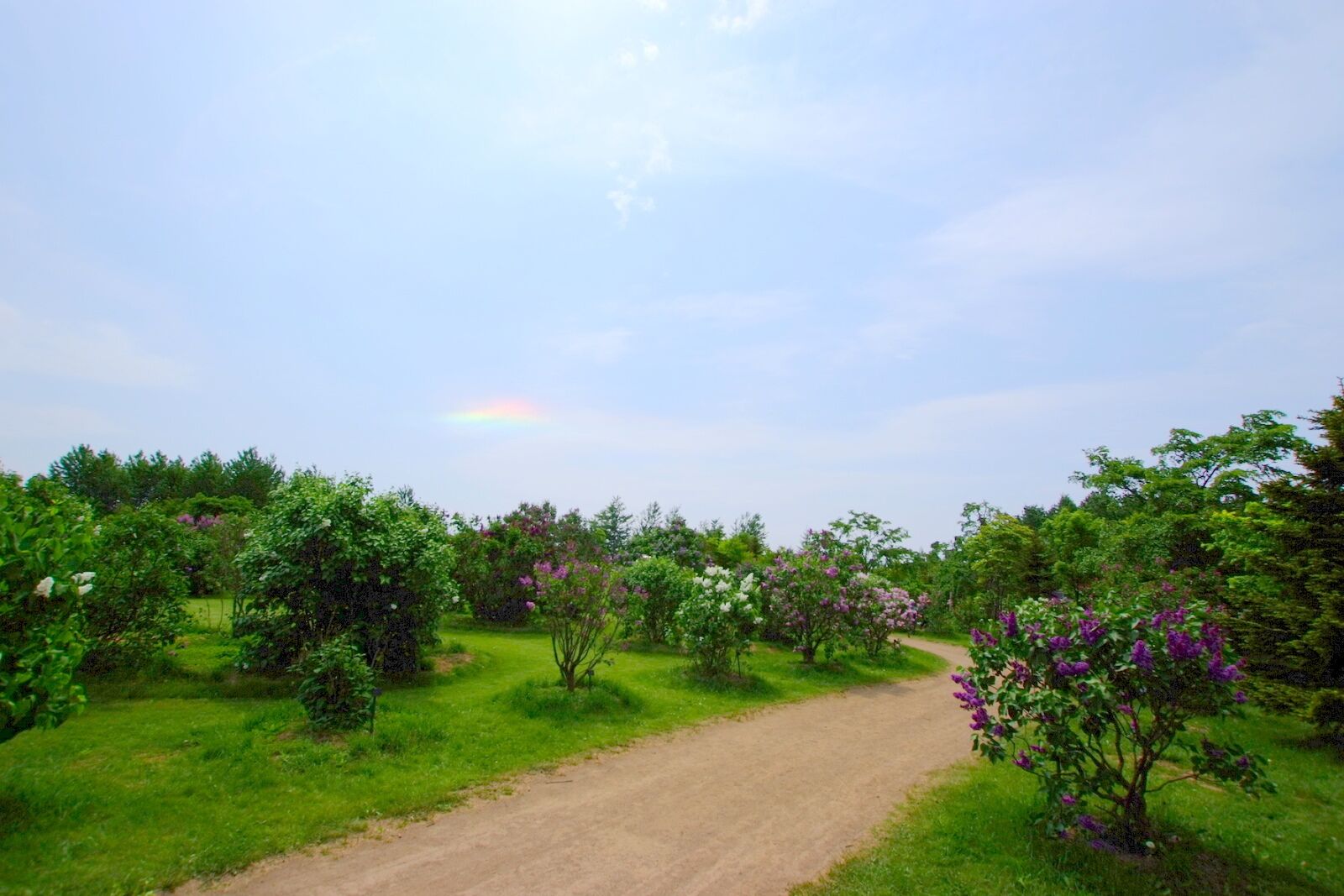 川下公園（Kawashimo Park）