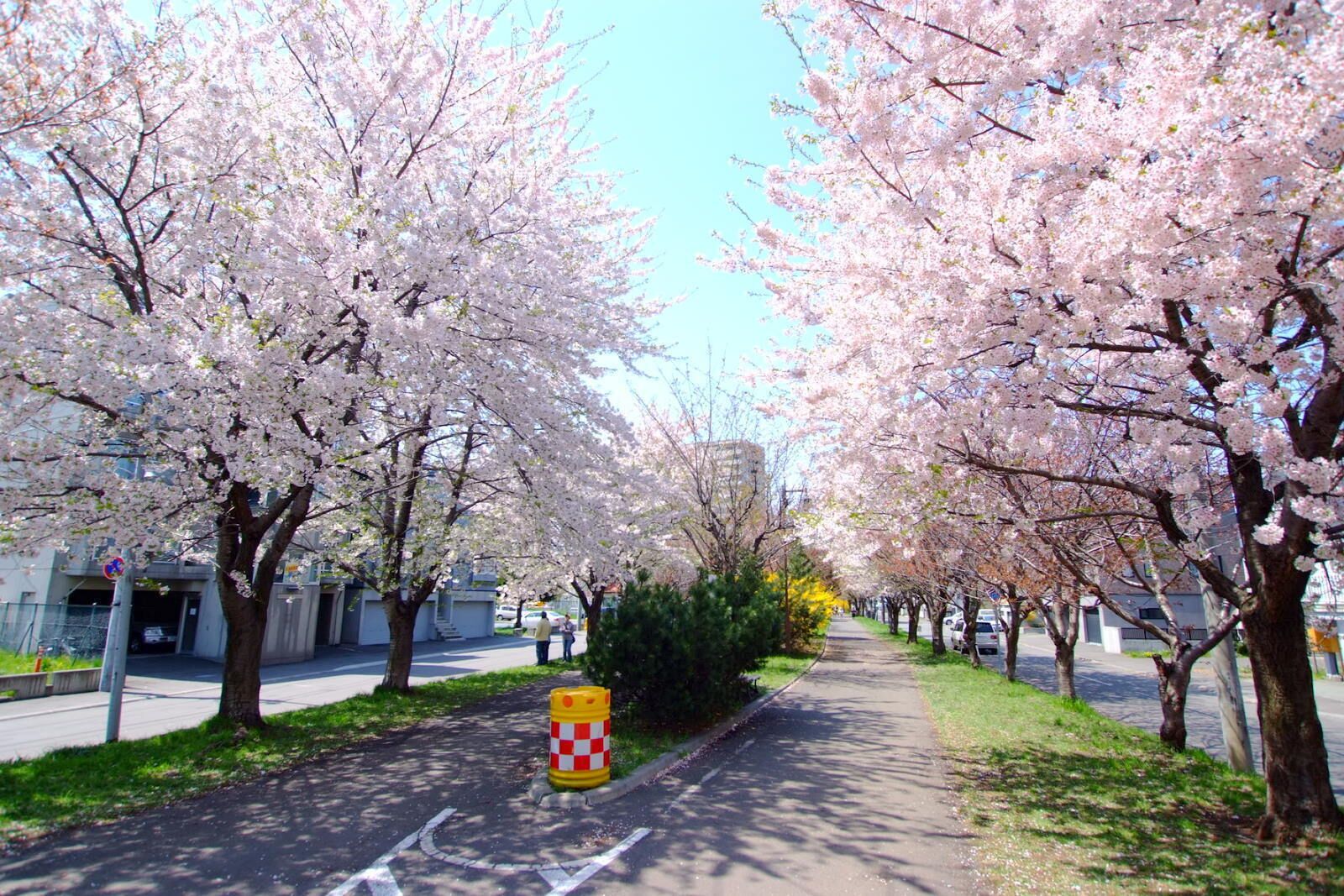 北海道道1148号札幌恵庭自転車道線（Shiroishi cycling road）