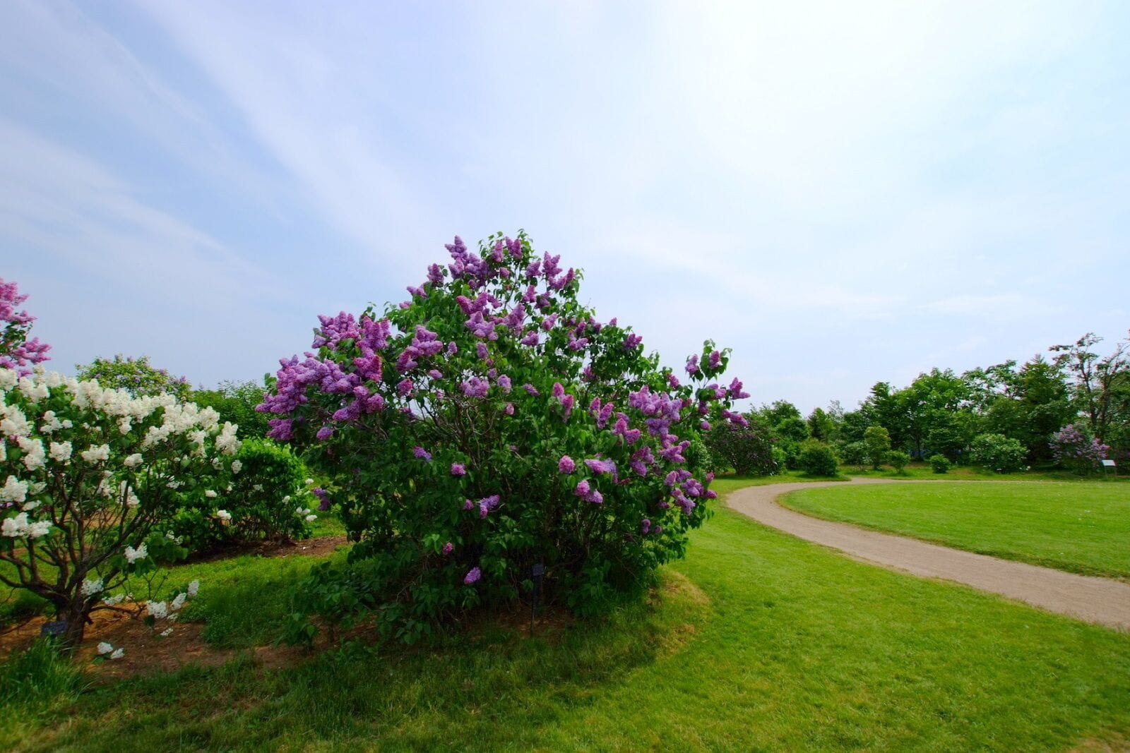 川下公園（Kawashimo Park）