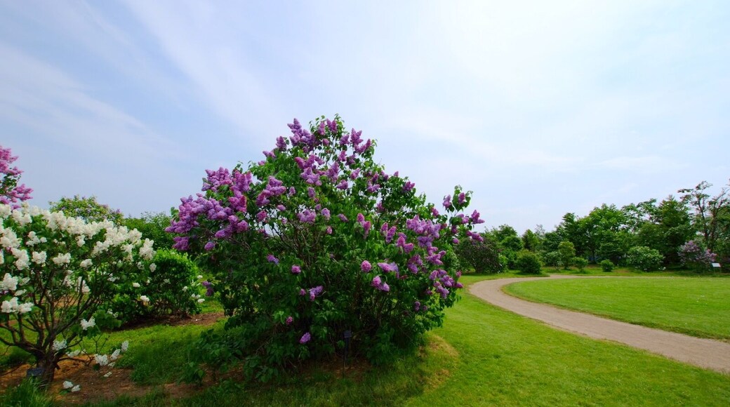 川下公園(Kawashimo Park)