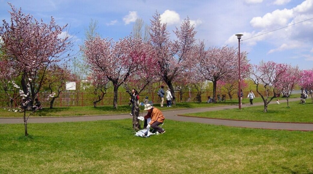 発寒河畔公園(Hassamu riverside park)