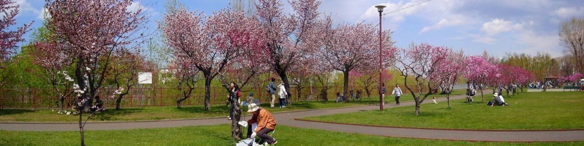 発寒河畔公園(Hassamu riverside park)