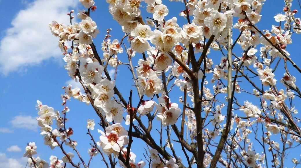 大高緑地公園 (愛知県名古屋市緑区大高町)