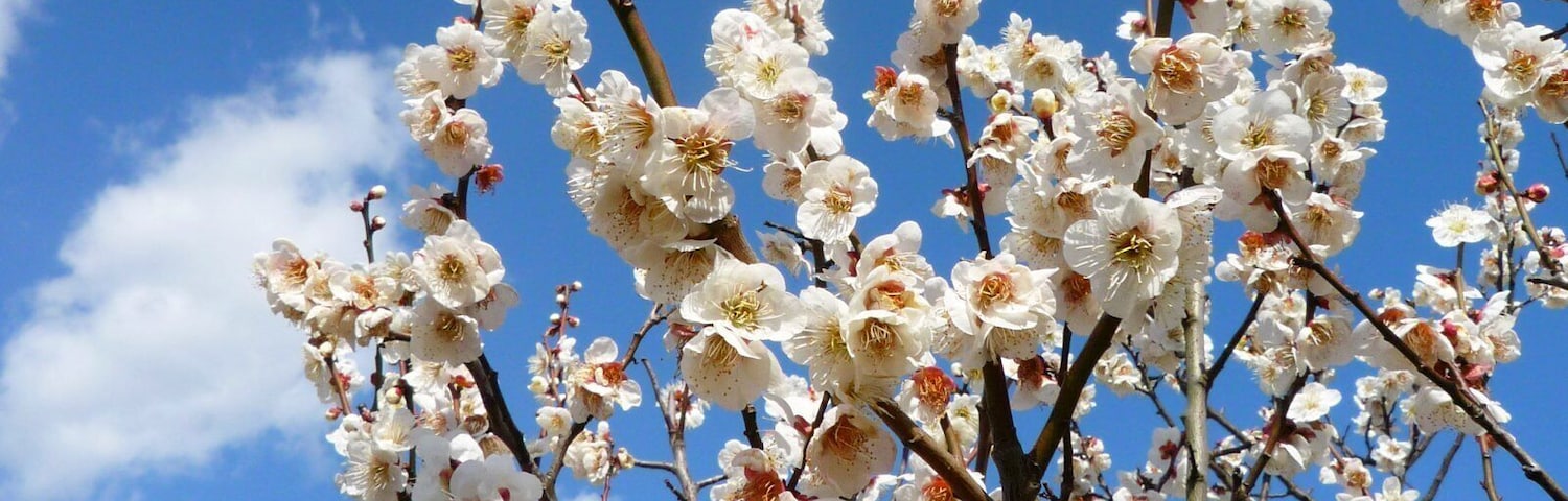 大高緑地公園 (愛知県名古屋市緑区大高町)