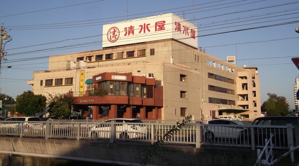 名古屋市守山区森孝東の清水屋藤ヶ丘店を西側公道南側より撮影