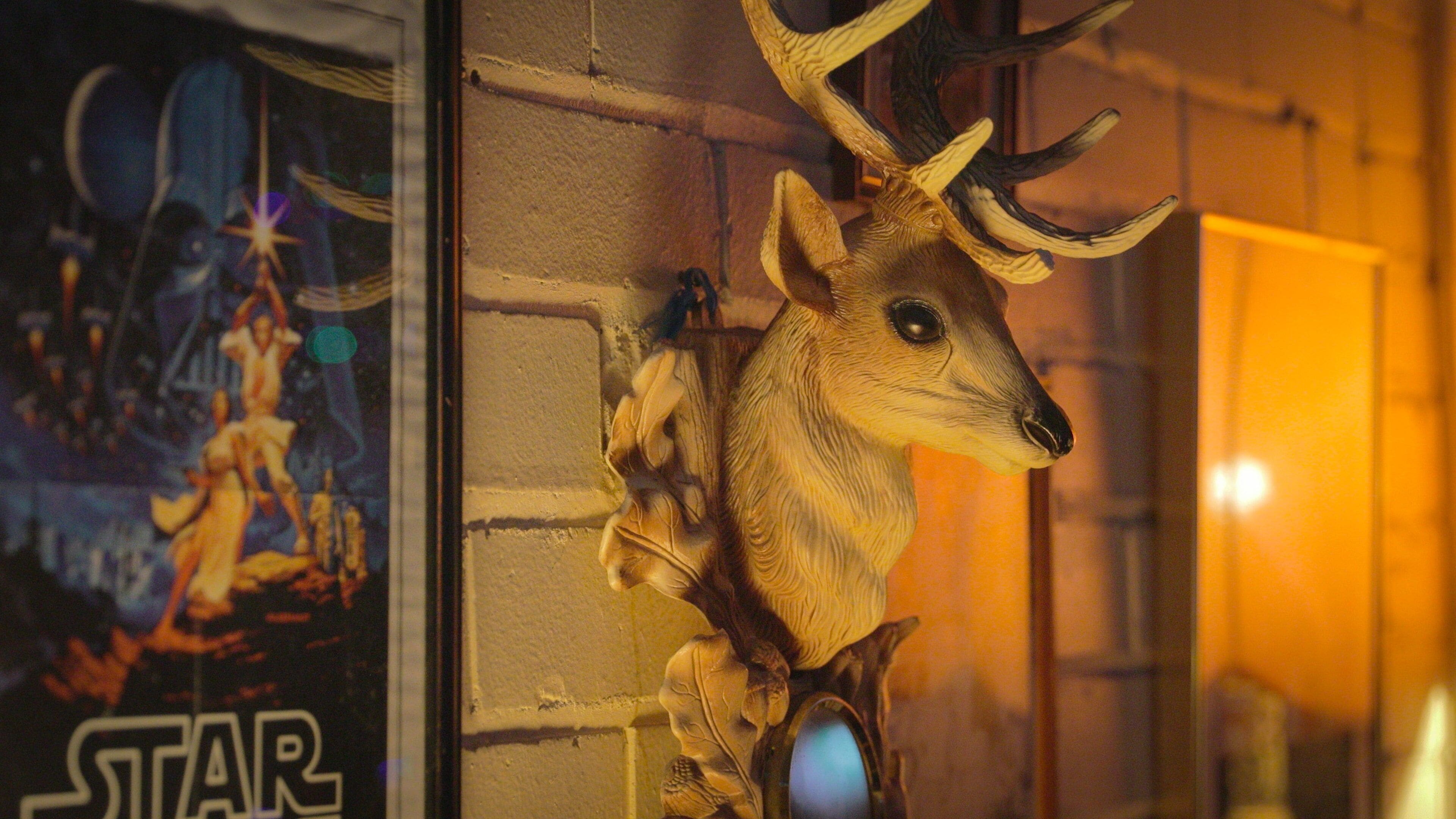 Moon Dog Craft Brewery showing interior views