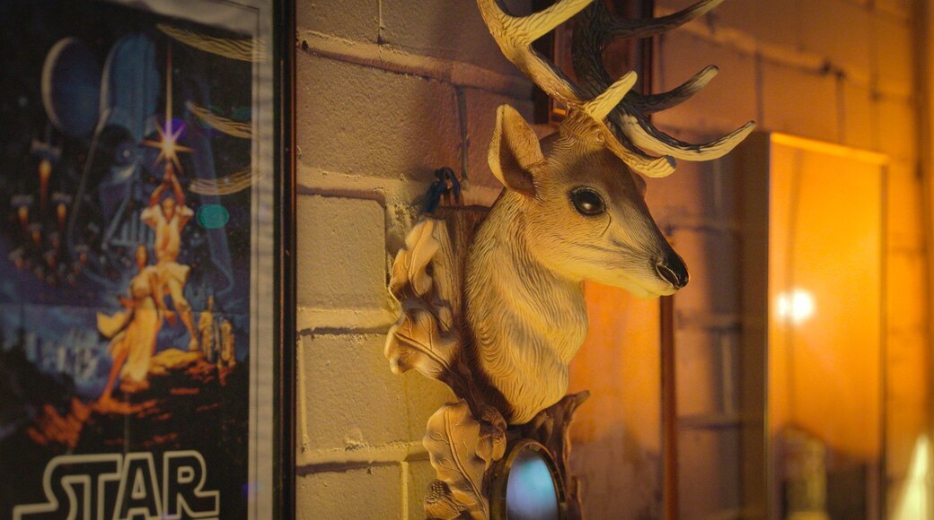 Moon Dog Craft Brewery showing interior views