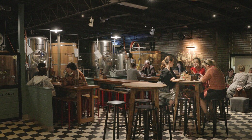 Brisbane Brewing Co. which includes nightlife, a bar and interior views