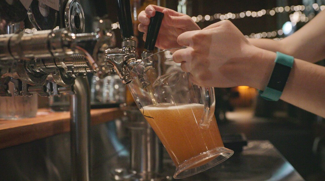 Mountain Goat Beer Brewery showing a bar and drinks or beverages