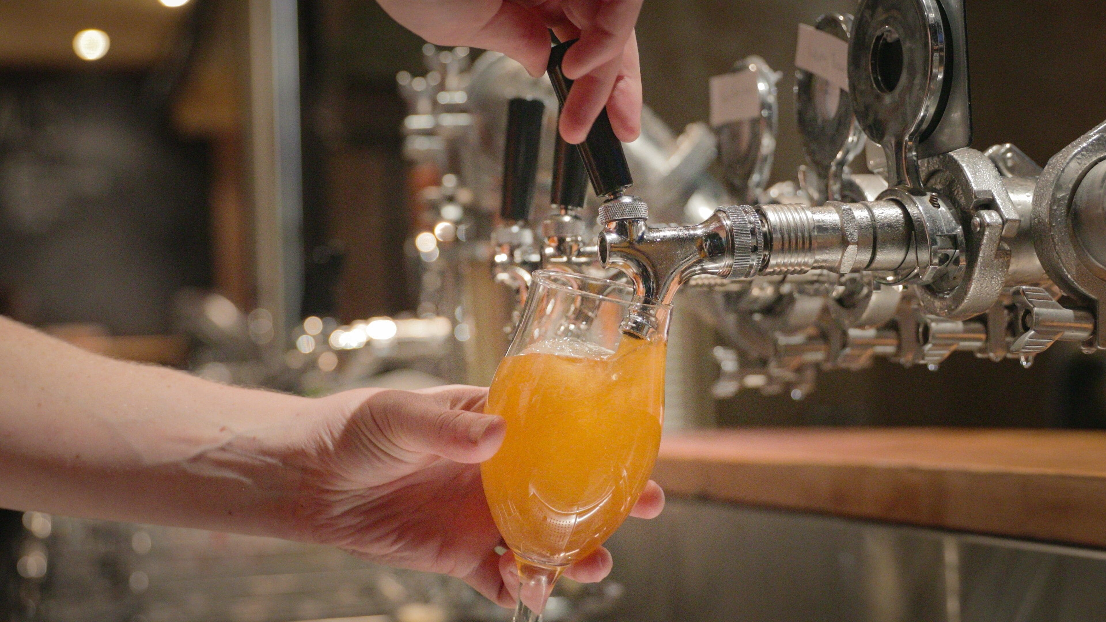 Mountain Goat Beer Brewery featuring drinks or beverages and a bar