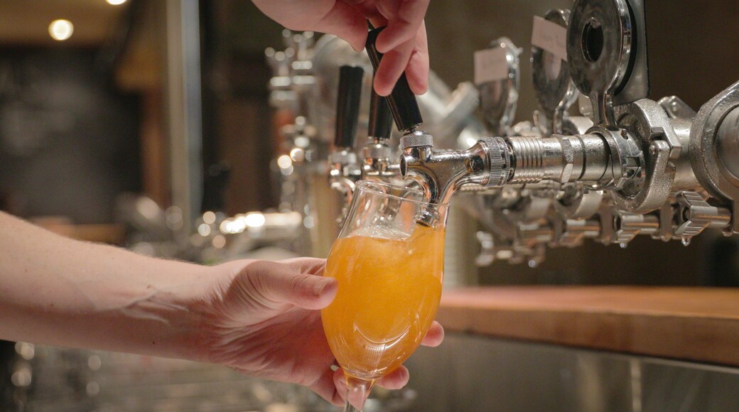 Mountain Goat Beer Brewery featuring drinks or beverages and a bar