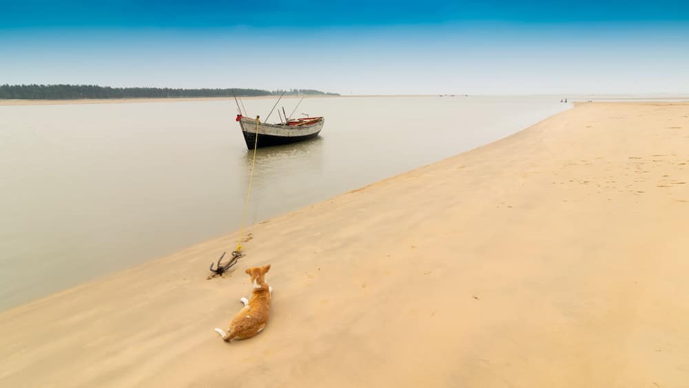 Boat and river at Tajpur, West Bengal, India