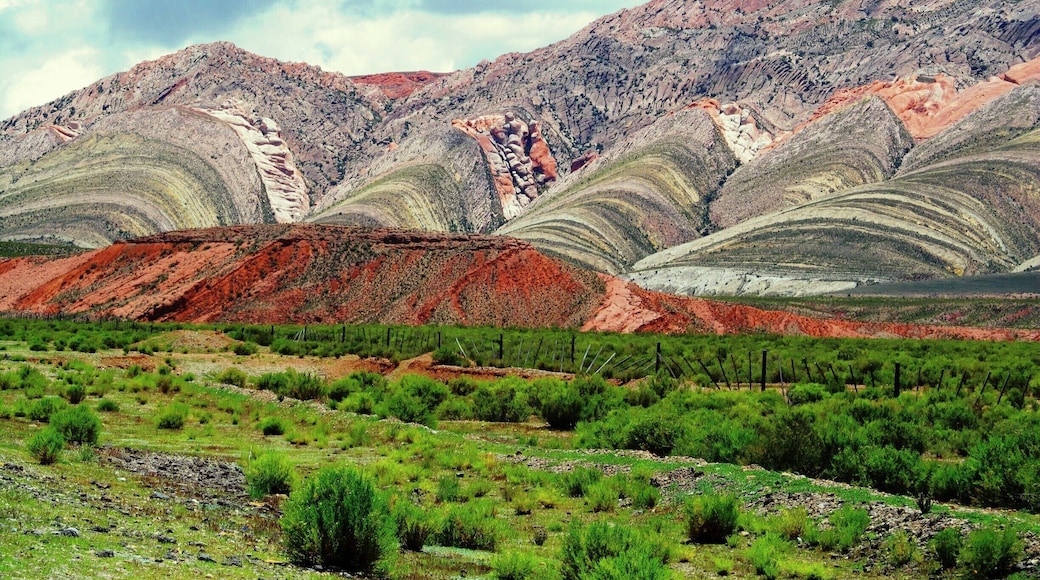 On our way to Abra Pampa, this stunning mountains! #Roadtrip