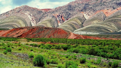 On our way to Abra Pampa, this stunning mountains! #Roadtrip