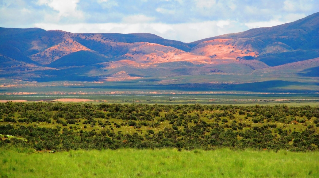 On our way to Laguna de Pozuelo.