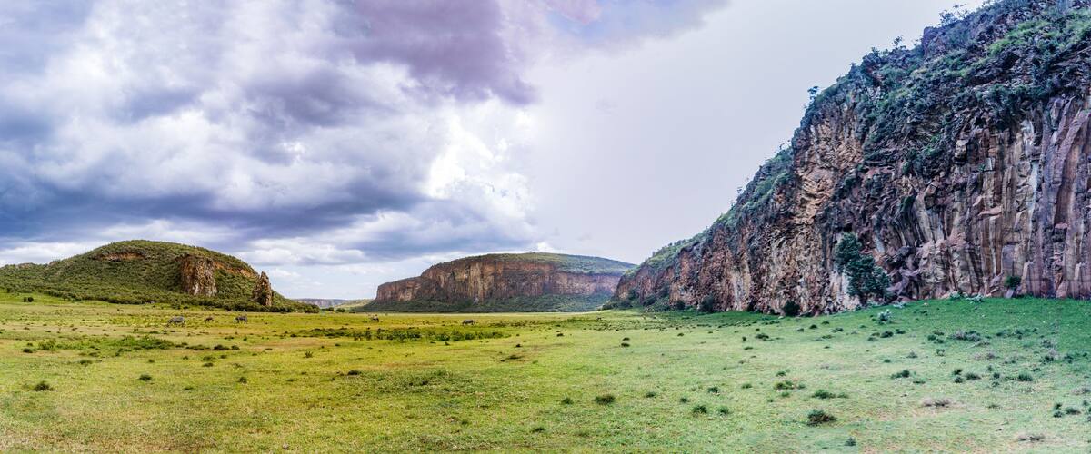 Hell's Gate National Park, Naivasha, Nakuru City County, Fischer' Central Tower landscapes, plants field vegetation, meadows, Kenya, East Africa, Great Rift Valley Rocks Gorge, Canyons, Trees Grass Sa