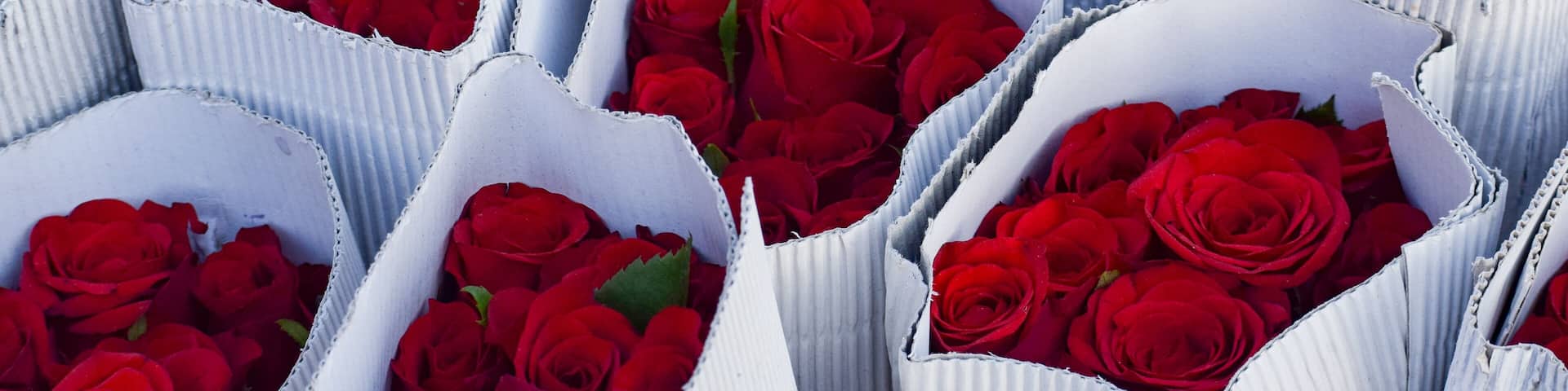 Ghazipur flower market situation in the morning, the flower itself came from China, Vietnam, Thailand and India