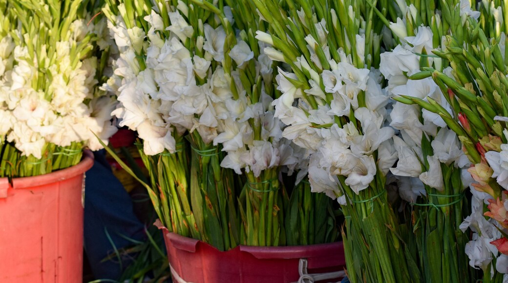 Ghazipur flower market situation in the morning, the flower itself came from China, Vietnam, Thailand and India