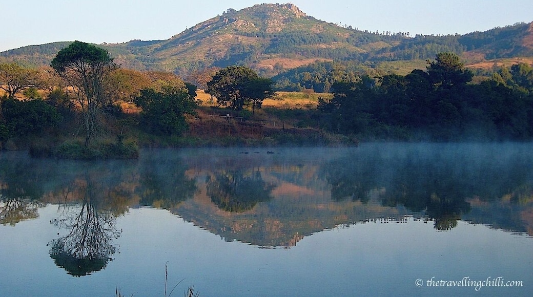 Mlilwane Wildlife Sanctury is one of the Big Game Parks in Swaziland. You can make hikes in the park, on foot or horseback, between the various antilopes and zebra. In the middle of the park is a big lake (be careful there are crocodiles...) which is a lovely setting, especially to watch the sunset or sunrise.